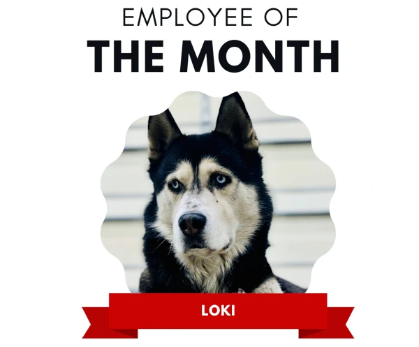 loki